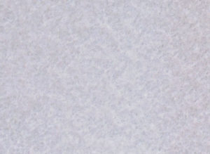 Carpete Forração Branco 001