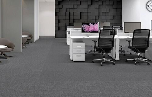 Carpete em Placas Explore